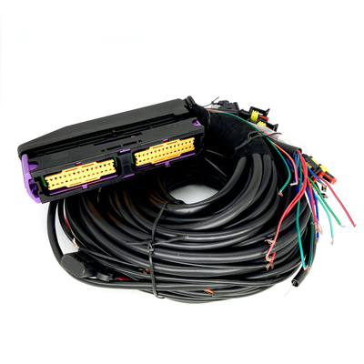دسته سیم 56 پین چند نقطه ای CNG LPG خودرو برای ECU 6 سیلندر