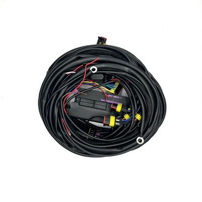 مهار 4 سیلندر ECU چند نقطه ای تزریق سوخت 56 پین مهار سیم کشی خودکار CNG LPG