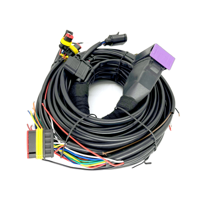 دسته سیم خودرو 24 پین تزریق متوالی CNG LPG برای ECU 4 سیلندر
