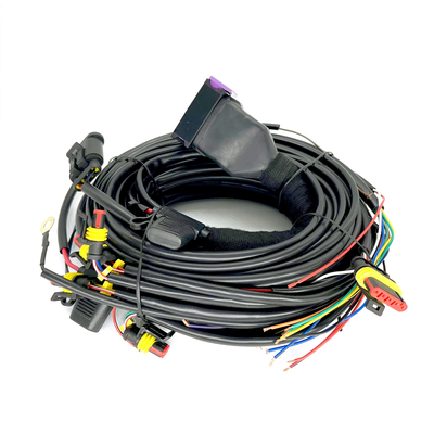 دسته سیم خودرو 24 پین تزریق متوالی CNG LPG برای ECU 4 سیلندر