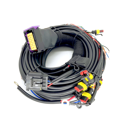 دسته سیم خودرو 24 پین تزریق متوالی CNG LPG برای ECU 4 سیلندر