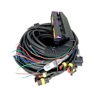 دسته سیم 56 پین چند نقطه ای CNG LPG خودرو برای ECU 6 سیلندر